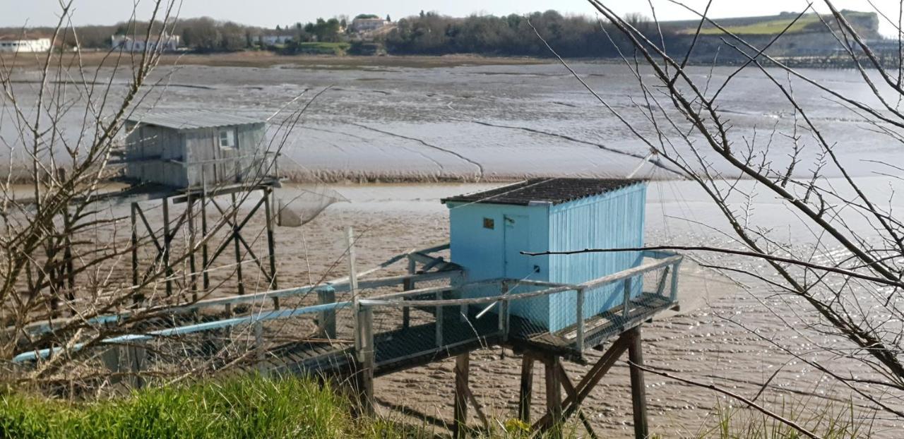Grande Maison Charentaise Avec Vue Sur Le Chenal Superbes Couches De Soleil Sur L Estuaire De La Gironde! Mortagne-sur-Gironde Eksteriør billede